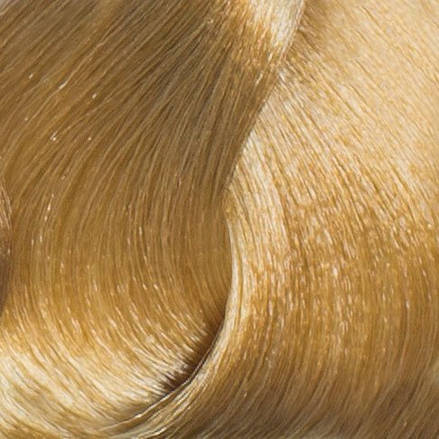 Very Light Blonde/Gold 9.3 90ml Color Tube