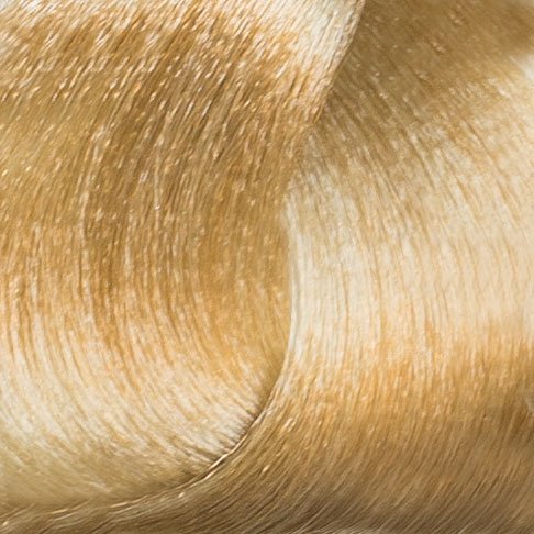 Very Light Blonde 9N 90ml Color Tube